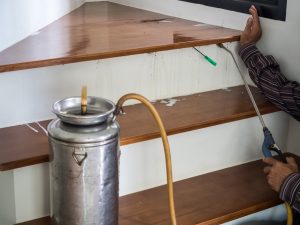 Sani Support Désinsectisation punaises de lit à Lyon par une entreprise spécialisée