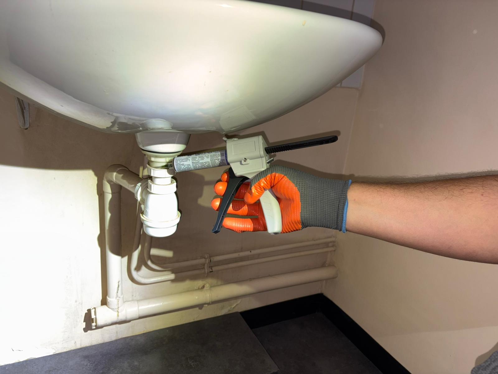 Traitement cafards et blattes à Lyon – SANI SUPPORT, experts en désinsectisation certifiée