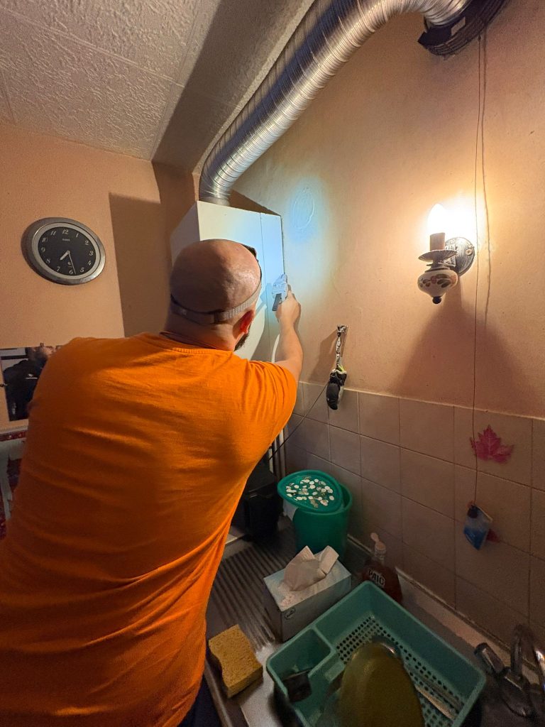 Cafards sortant d'une prise électrique ou d'une fissure murale