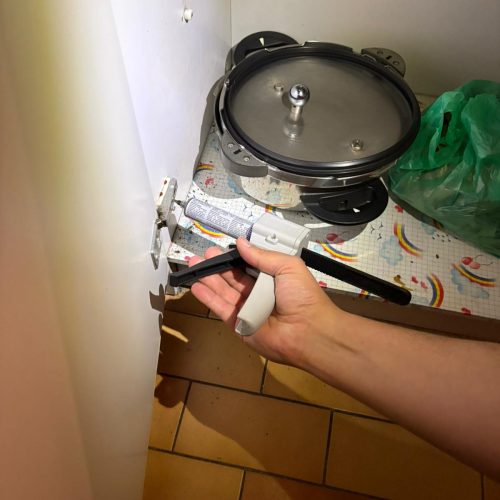 Œufs de cafards (oothèque) découverts lors d’un diagnostic Sani Support Œufs de cafards (oothèque) découverts lors d'un diagnostic Sani Support